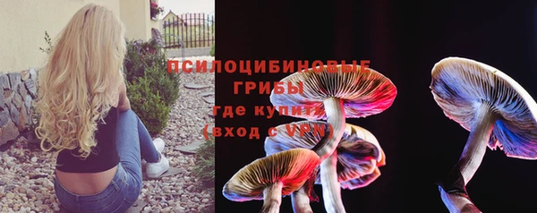 соль ск Верхний Тагил