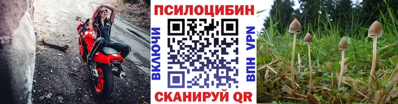 Купить где  Кузнецк  Псилоцибиновые грибы прущие грибы 